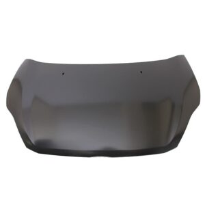 Ford Figo Bonnet 2010-